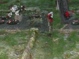 image of grave number 525551